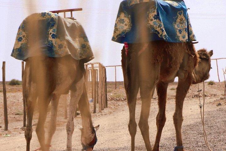 2 Days Marrakech Desert Tours - Marrakech to Zagora