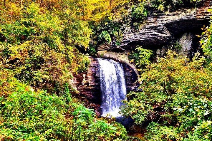 Florestas e Cataratas de Western NC