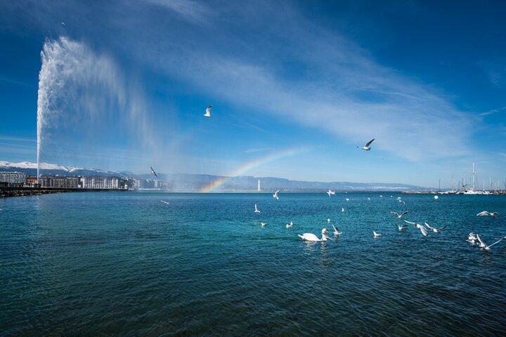 Tour privato delle attrazioni di Annecy e Ginevra