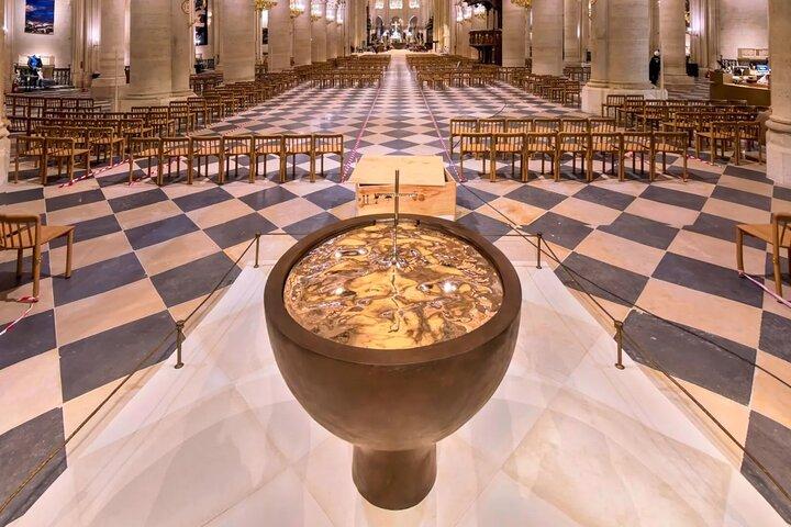 Notre Dame Introductie Tour met Toegang