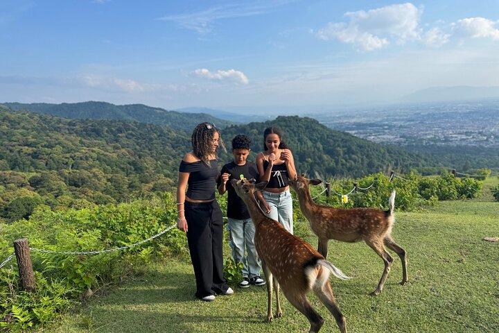 Entdecken Sie das alte Nara: Private Tour mit dem Auto ab Kyoto oder Osaka
