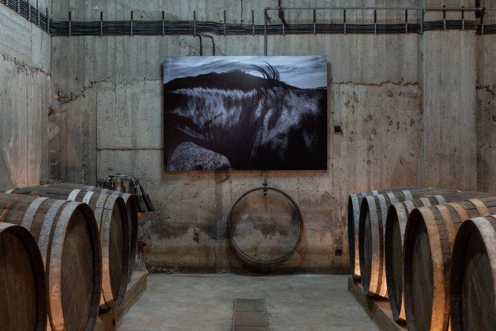 Paros Farming Community Wine Tasting Experience