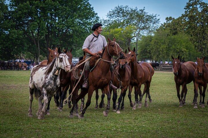 De Buenos Aires: Excursão de um dia em uma estancia