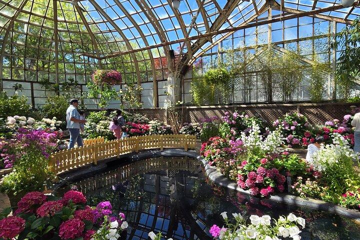 リンカーンパーク動物園＆自然博物館プライベートツアー