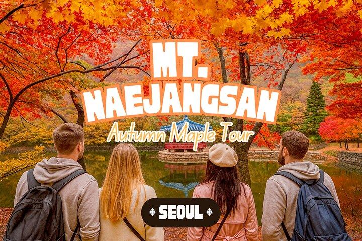Tour di un giorno del fogliame autunnale del Parco Nazionale di Naejangsan da Seul