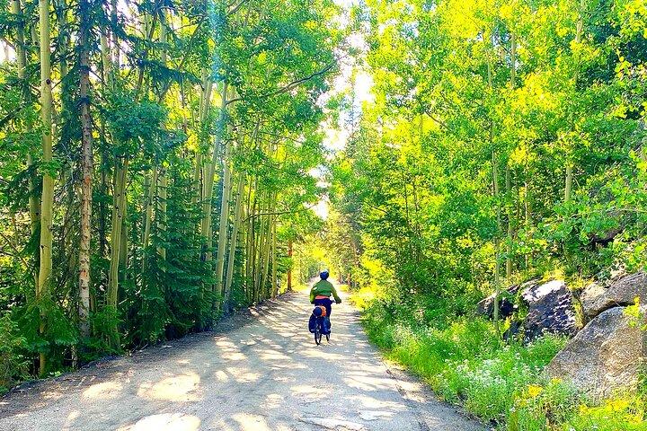Mountain Roads E-cykel tur. 1 dag med transport og frokost