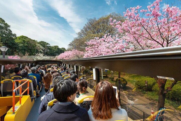Tokyo Open Top Bus Sightseeing Tour Tokyo Bay and Ginza