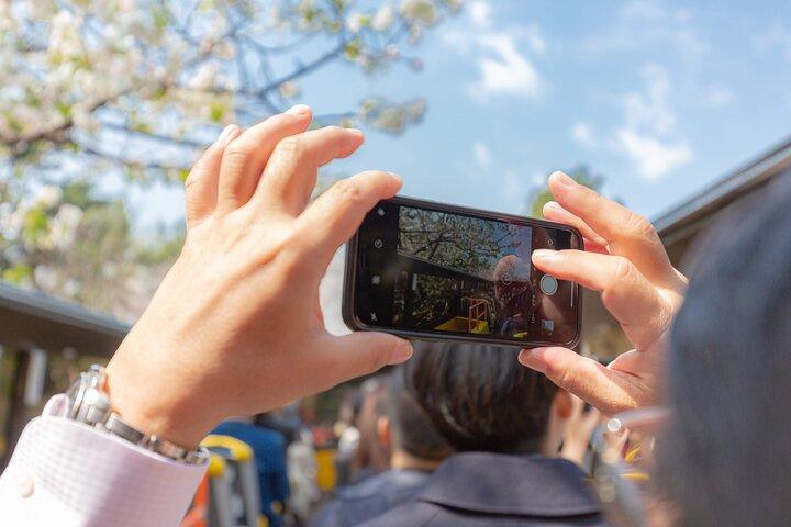 Tokyo Open Top Bus Sightseeing Tour Tokyo Bay and Ginza