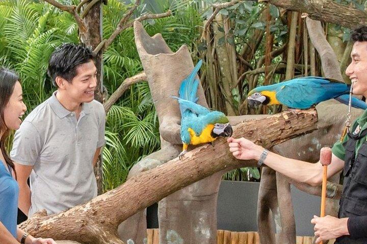 Frühstück in freier Wildbahn im Singapore Zoo