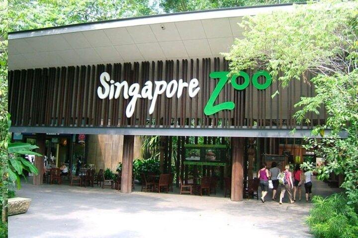 Frühstück in freier Wildbahn im Singapore Zoo