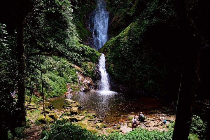 Un giorno Nyungwe Canopy passerella, zipline e cascata di Ndambarare