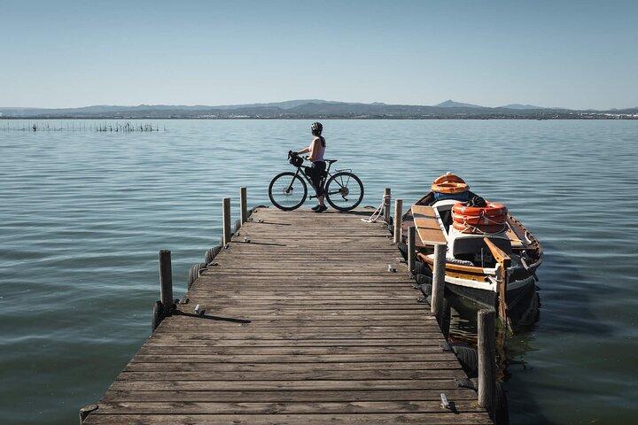 Valencia: Camino a La Albufera Tour privado en bicicleta