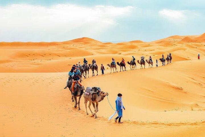 Safari privado en el desierto de Dubai con cena de barbacoa hasta 6 personas