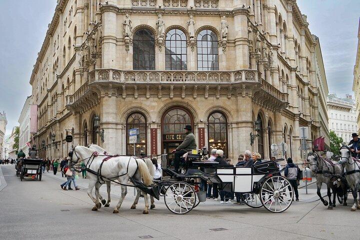 Visite guidée à pied du centre-ville de Vienne