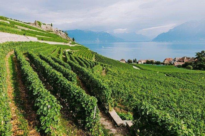 Half Day West Kelowna Wine Tours