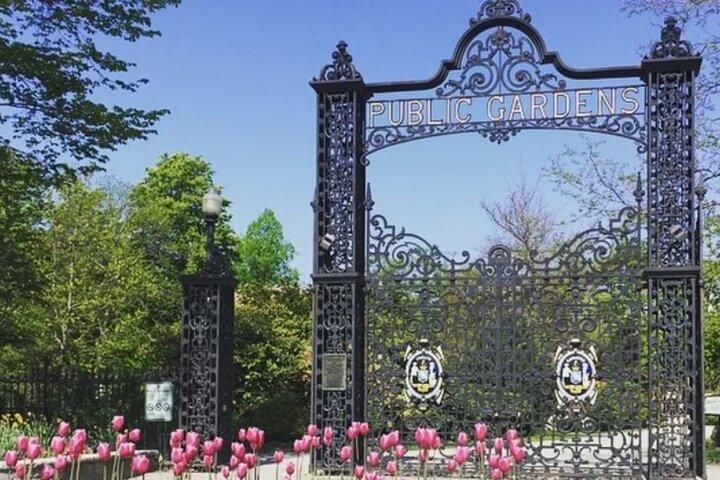 Visite privée de l'histoire de Halifax avec visite du cimetière Titanic