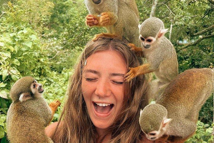 2x1: ATV Ride Plus Monkey Land puerto plata