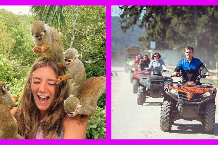 2x1 : ATV Ride Plus Monkey Land port plata