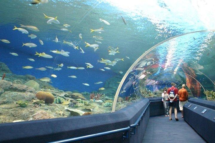 パタヤ・アンダーウォーター・ワールド水族館（プライベート送迎付き）