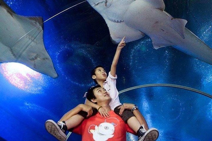 パタヤ・アンダーウォーター・ワールド水族館（プライベート送迎付き）