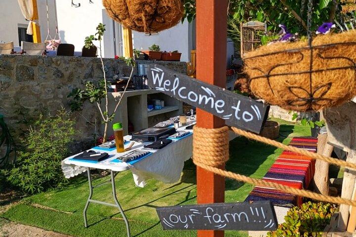 Cours de cuisine Dîner au coucher du soleil et visite à Paros Farm