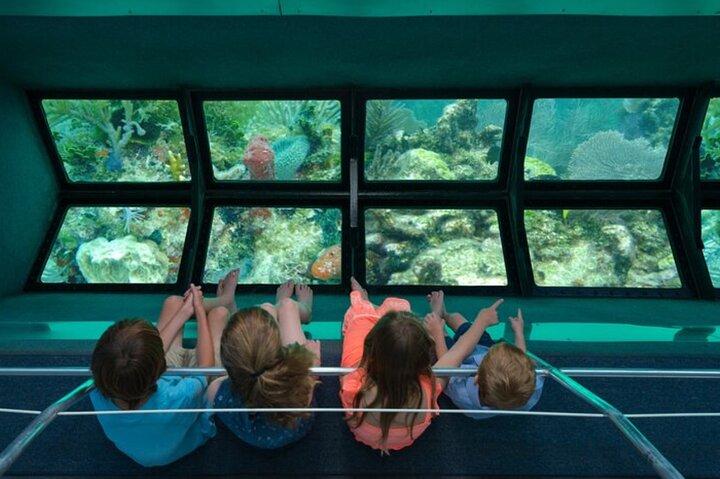 Glass-bottom boat tour to Punta Cana