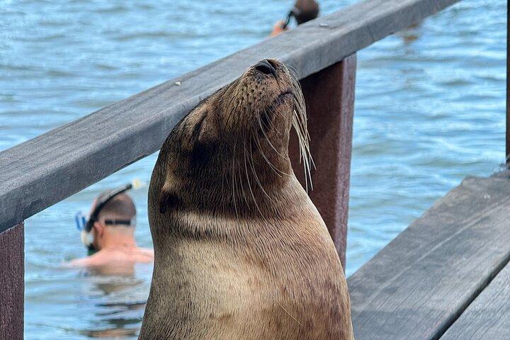 Tour di 5 giorni per esplorare Santa Cruz, Isabela e Santa Fe Galapagos