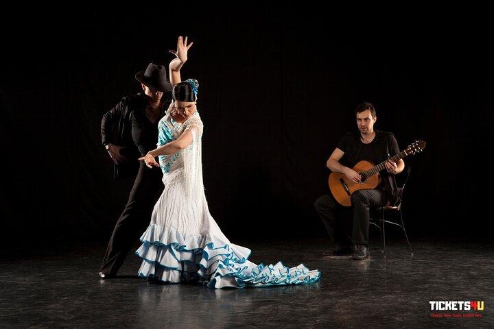 Tour in bicicletta di Sevilla flamenca e spettacolo di flamenco