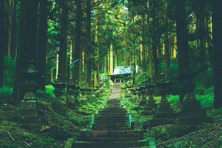 Takachiho Gorge Tour from Fukuoka with Shirakawa Springs, Shrine