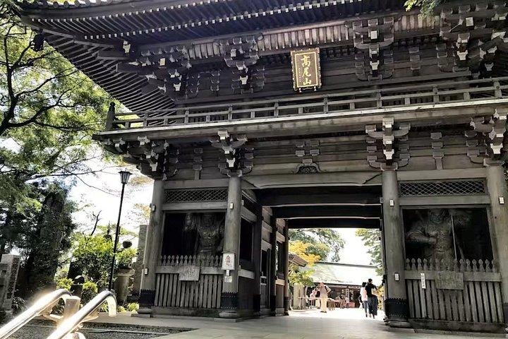 地元のように暮らす 高尾山ハイキング、神社巡り、温泉＆ごちそう