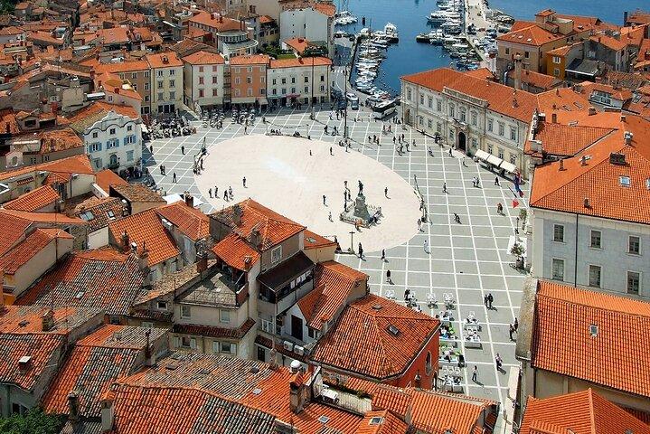 Excursão a pé pelo Piran e tesouros do vinho nas terras traseiras da Istria