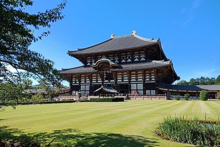 Osaka / Kyoto: Todai-ji, Nara Park, Fushimi Inari and Byodo-in