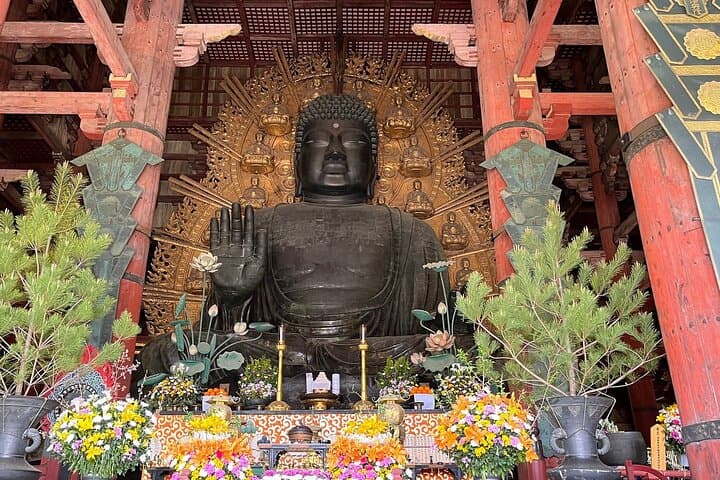 Osaka / Kyoto: Todai-ji, Nara Park, Fushimi Inari and Byodo-in