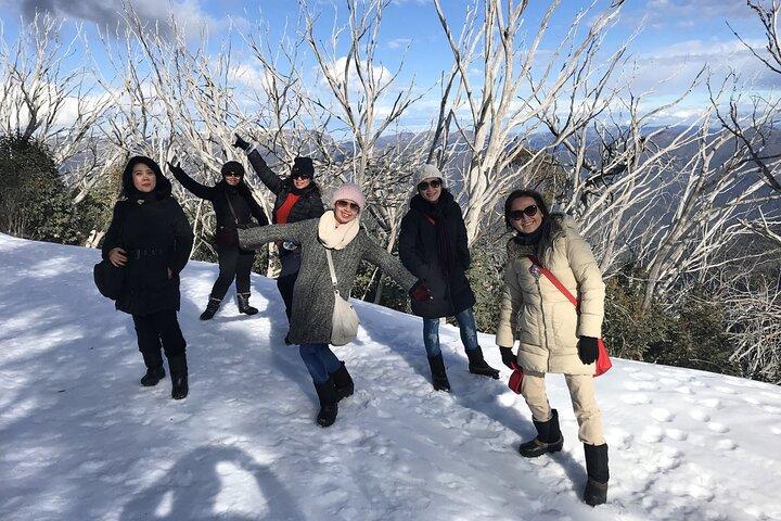 Mount Buller Snow Day Boutique Trip - Max. 11 Personen