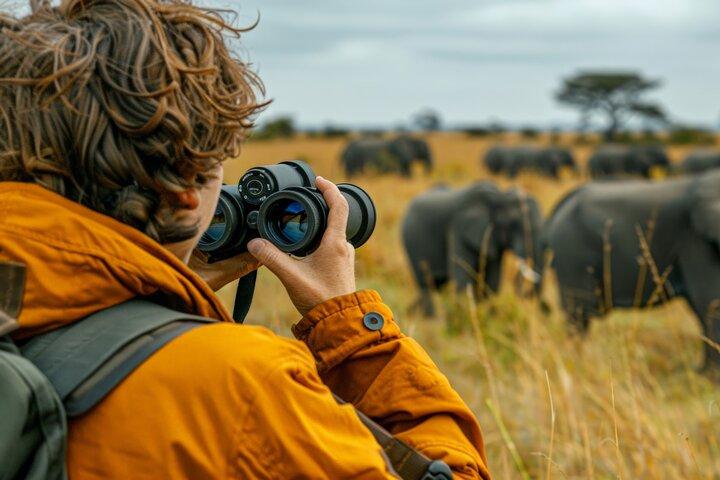 5-dagars gruppcampingsafari i Tanzanias djurparker