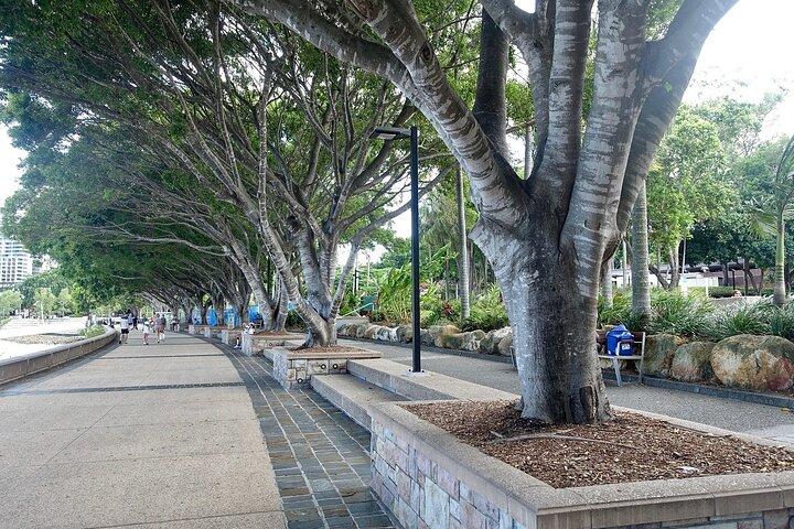 Brisbane South Queensland Caccia al tesoro