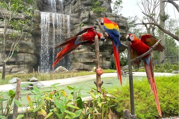 Entrada Mandai Bird Park Singapore