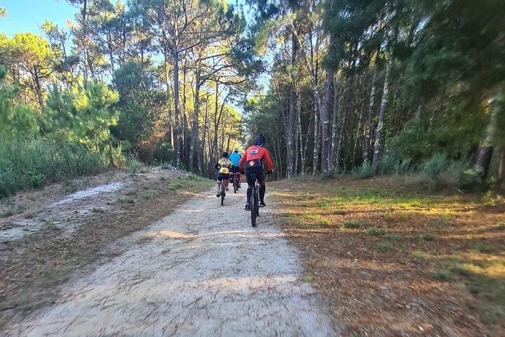 7 dias The Camino Coast Adventure Bike Tour