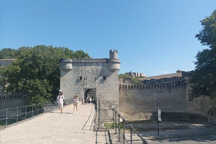 Excursão privada em Avignon e Pont du Gard