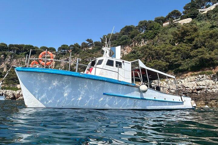 Tour di snorkeling della baia di Villefranche in Costa Francese da Nizza