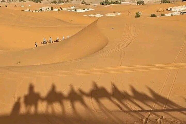 Four-Day Moroccan Desert Adventure from Marrakech