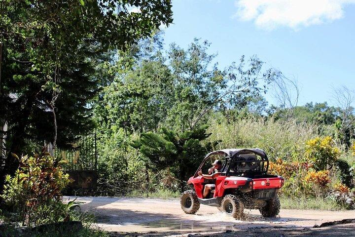 Excursão de um dia de buggy na selva