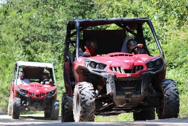 Excursão de um dia de buggy na selva