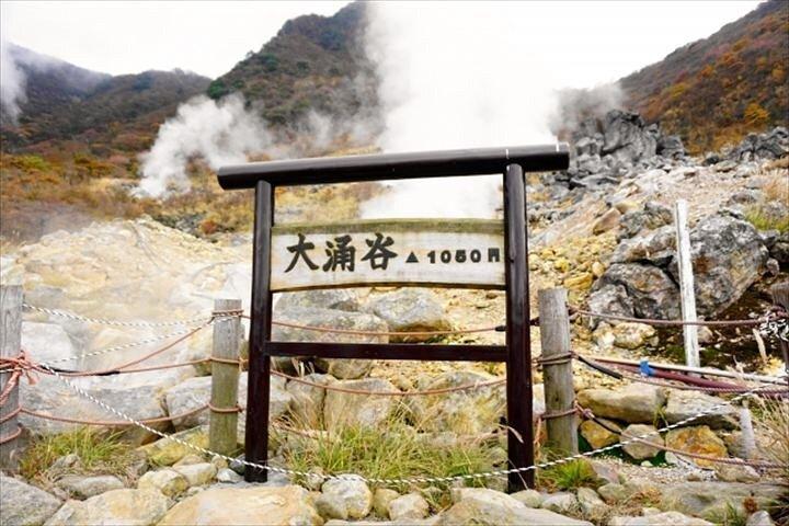 Hakone-Owakudani og Ashi sø guide tur