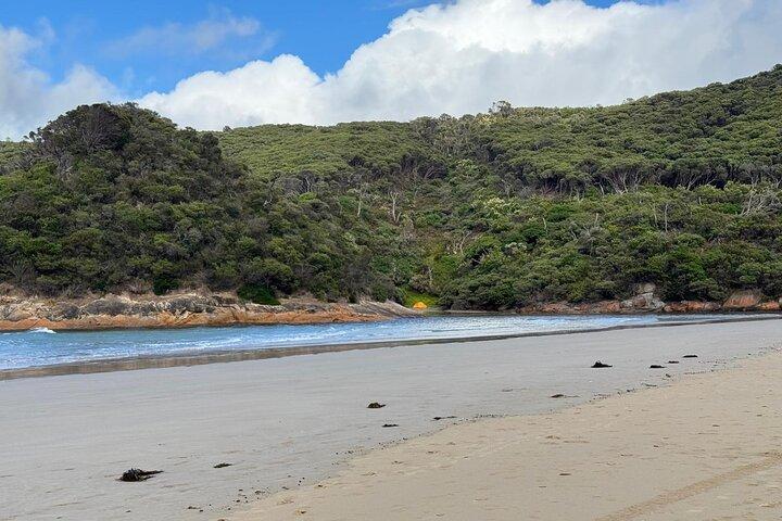 Melbourne: Hoteller i nærheden af Wilson Promontory National Park Day Tours