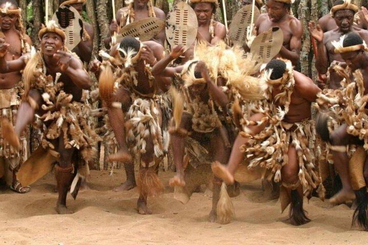 Tour del Parco dei Leoni di Natal e del Parco Safari di Phezulu