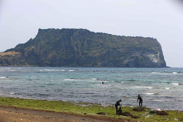 済州島プライベートカーツアー（専門ドライバー付き）