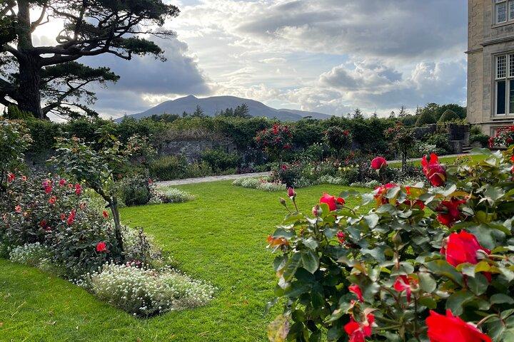 Privater Transfer vom Flughafen Dublin oder Dublin nach Killarney