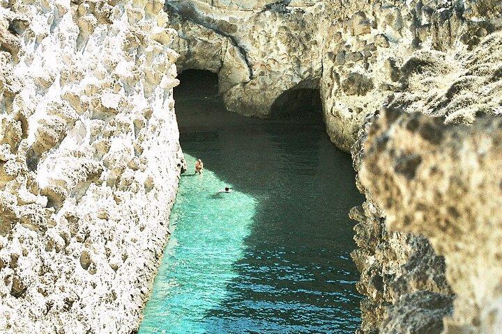 Milos Van Tour com um guia local