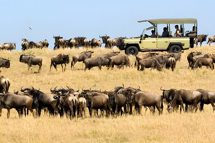 Safari & Spa Experience Johannesburg